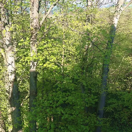 Miedzy Strumykami Apartamento *