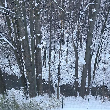 아파트 Miedzy Strumykami 카르파츠