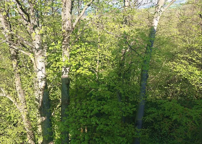 Miedzy Strumykami Apartament *